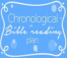 Chronological New Testament Bible Readin in 120 days.